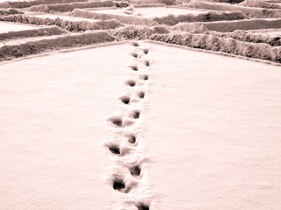 Intersection 12-12-12 Day 347 G+ 365 Project 12 December 2012