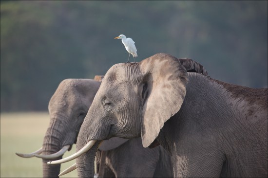 4872199920_660cd8fb05_b