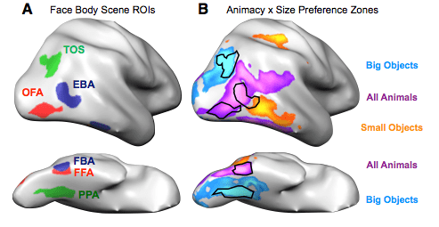 Screen Shot 2013-10-17 at 11.43.06 AM