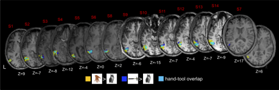 Screen Shot 2013-10-24 at 3.39.27 PM